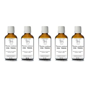 Tinktura od ive trave /Teucrium montanum/ 50 ml - 5 komada